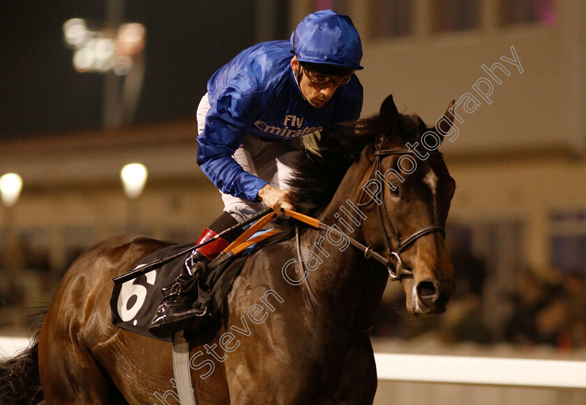 Kinver-Edge-0006 
 KINVER EGDE (Shane Kelly) wins The Bet toteswinger At totesport.com Novice Stakes
Chelmsford 21 Feb 2019 - Pic Steven Cargill / Racingfotos.com