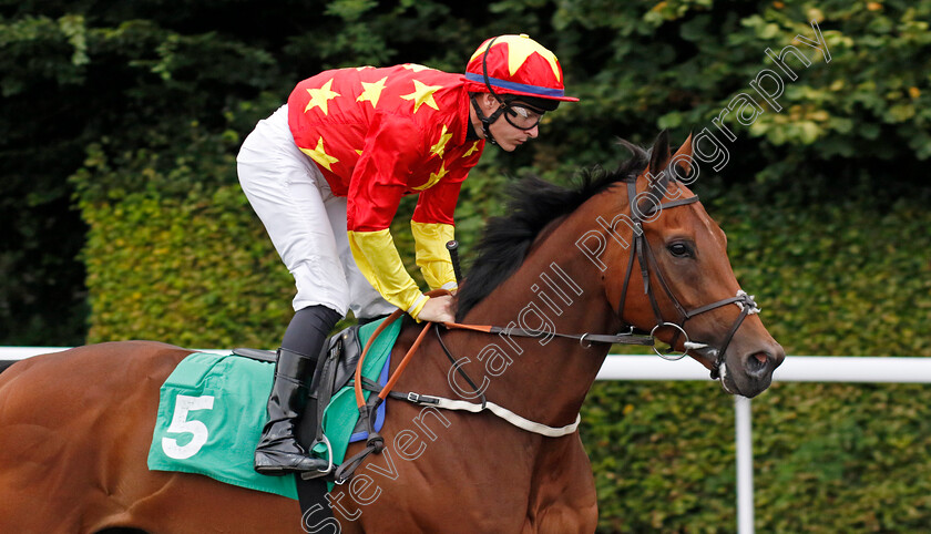 Ombrecell-0002 
 OMBRECELL (Richard Kingscote)
Kempton 7 Aug 2024 - Pic Steven Cargill / Racingfotos.com