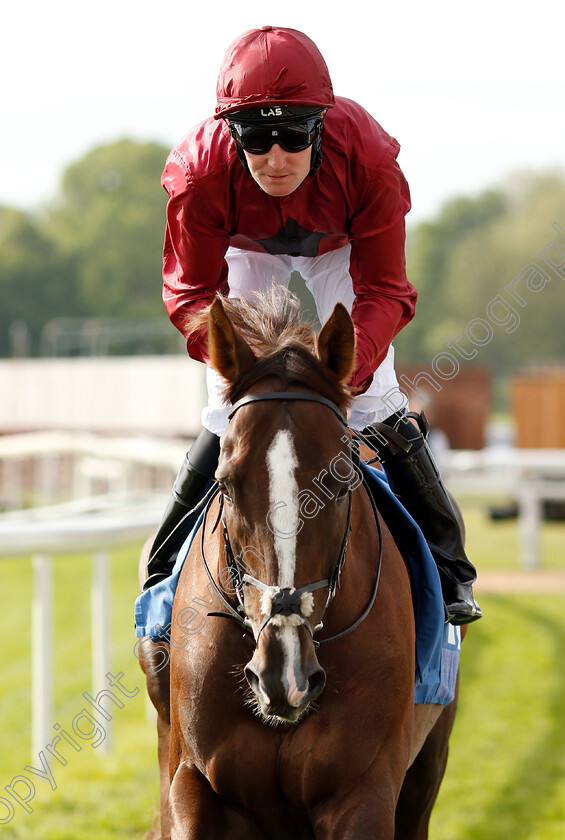 Sky-Eagle-0001 
 SKY EAGLE (Pat Cosgrave)
York 16 May 2018 - Pic Steven Cargill / Racingfotos.com