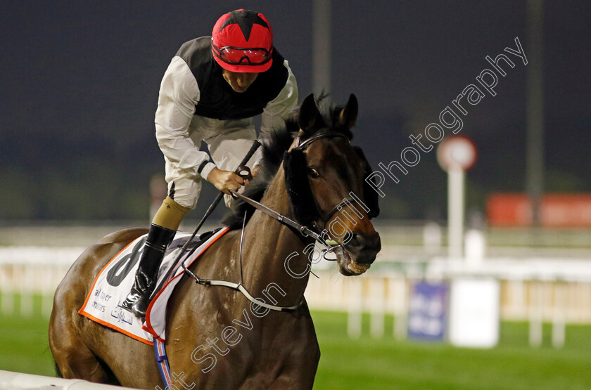 Trevaunance-0001 
 TREVAUNANCE (Shane Foley)
Meydan 2 Feb 2024 - Pic Steven Cargill / Racingfotos.com