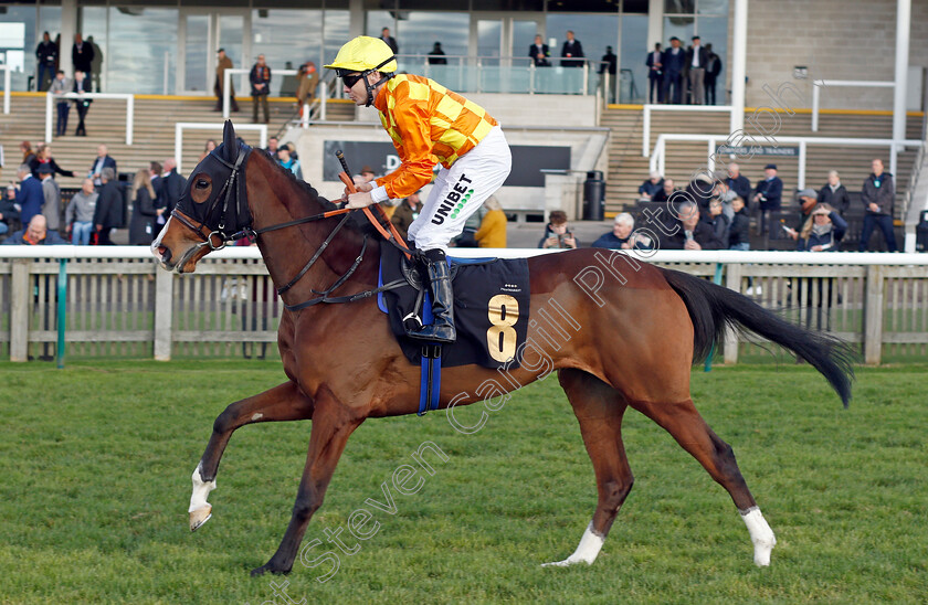 Flamenco-Fan 
 FLAMENCO FAN (Jamie Spencer)
Newmarket 30 Oct 2021 - Pic Steven Cargill / Racingfotos.com