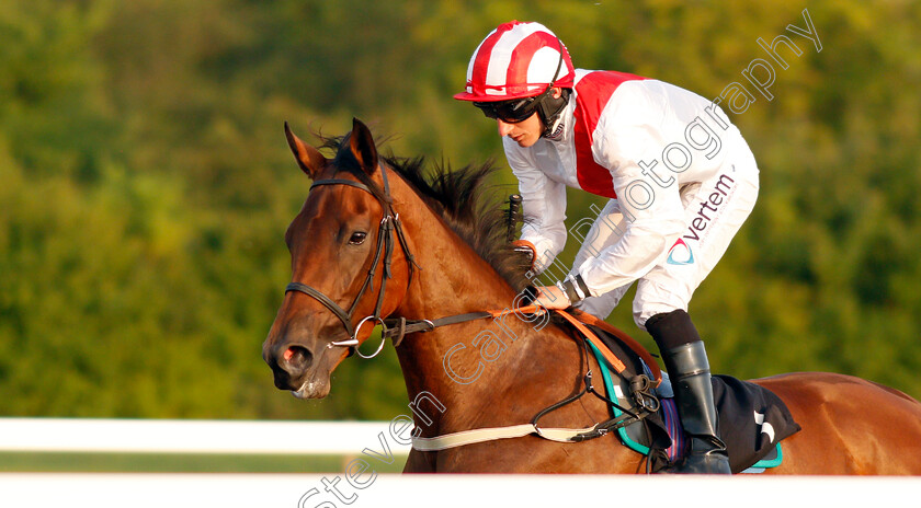 Harbour-City-0001 
 HARBOUR CITY (P J McDonald)
Chelmsford 23 Jul 2019 - Pic Steven Cargill / Racingfotos.com