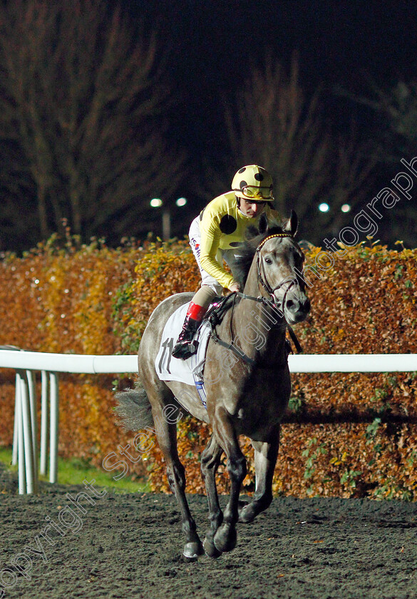 One-Idea-0001 
 ONE IDEA (Andrea Atzeni)
Kempton 27 Nov 2019 - Pic Steven Cargill / Racingfotos.com