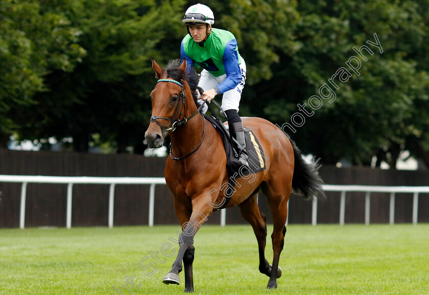 Angelica-Bay-0001 
 ANGELICA BAY (Kevin Stott)
Newmarket 10 Aug 2024 - Pic Steven Cargill / Racingfotos.com