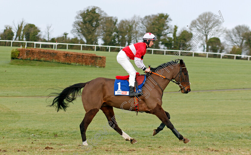 Brucejack-0001 
 BRUCEJACK (Harry Sexton)
Punchestown 12 Jan 2025 - Pic Steven Cargill / Racingfotos.com