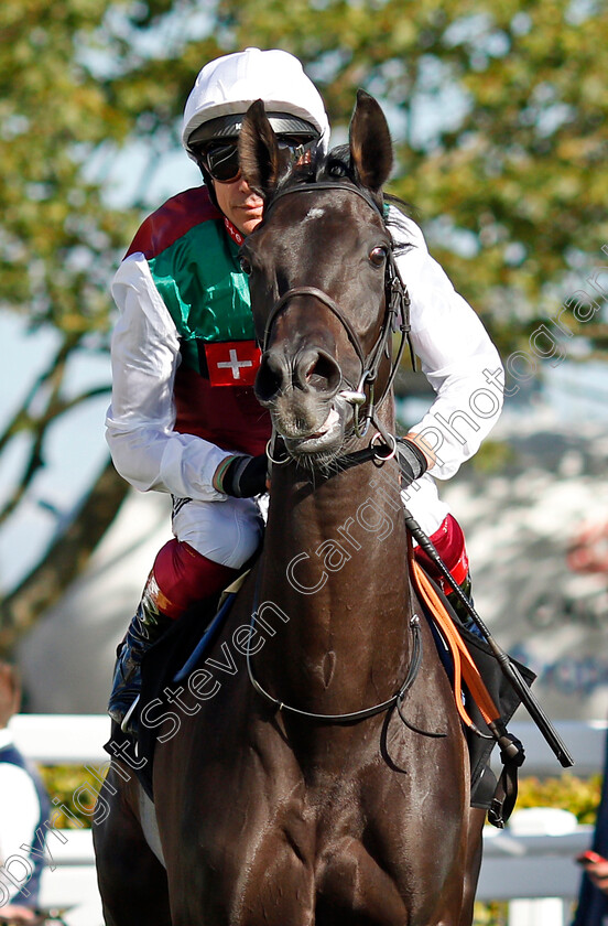 Girl-On-Film-0001 
 GIRL ON FILM (Frankie Dettori)
Newmarket 24 Sep 2021 - Pic Steven Cargill / Racingfotos.com