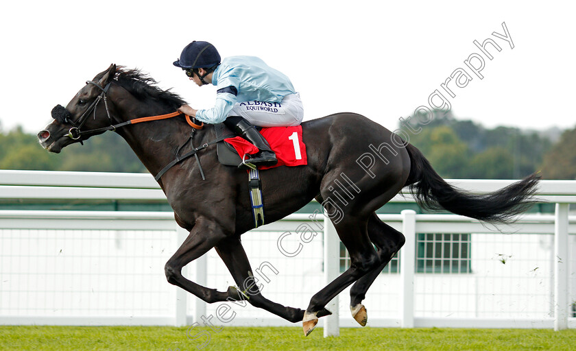 Archetype-0007 
 ARCHETYPE (Oisin Murphy) wins The All New Fiesta At Trust Ford Handicap Sandown 1 Sep 2017 - Pic Steven Cargill / Racingfotos.com