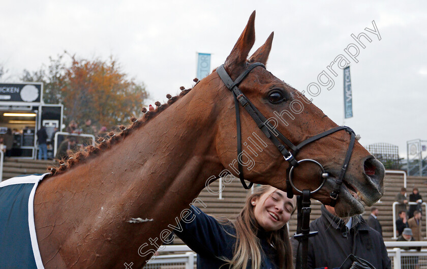 Jatiluwih-0002 
 JATILUWIH after The BetVictor Intermediate Handicap Hurdle
Cheltenham 16 Nov 2019 - Pic Steven Cargill / Racingfotos.com