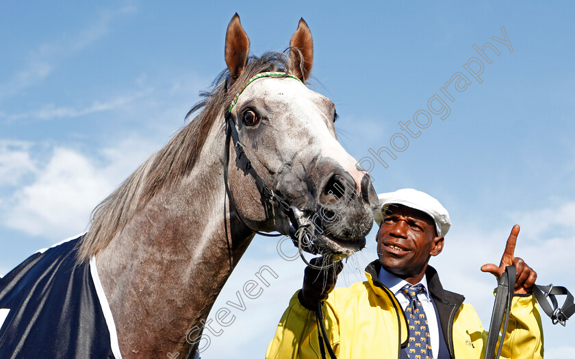 Logician-0027 
 LOGICIAN after The William Hill St Leger
Doncaster 14 Sep 2019 - Pic Steven Cargill / Racingfotos.com