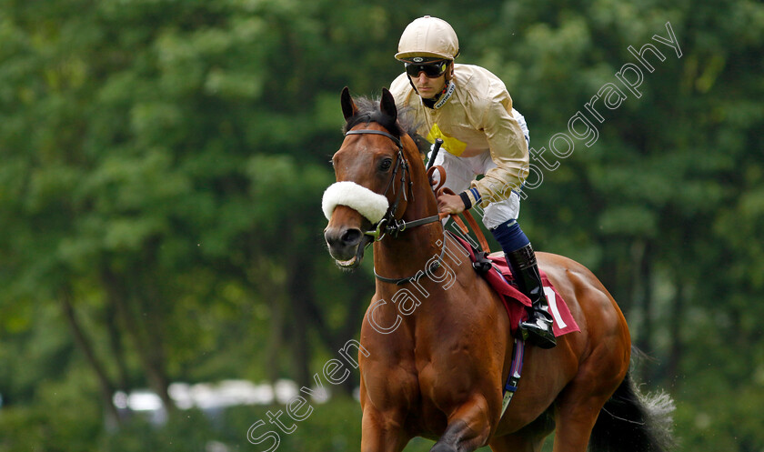 Gis-A-Sub-0003 
 GIS A SUB (Kevin Stott)
Haydock 21 May 2022 - Pic Steven Cargill / Racingfotos.com