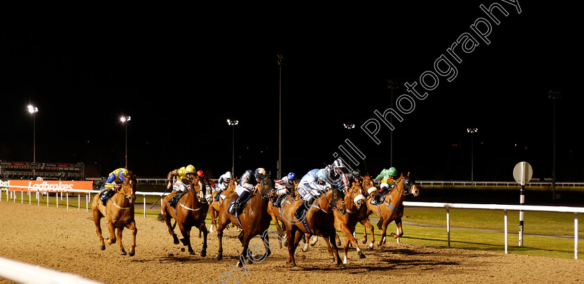 Plansina-0001 
 PLANSINA (3rd left, David Probert) beats QUOTELINE DIRECT (4th left) in The Play 4 To Score At Betway Handicap Div2
Wolverhampton 12 Mar 2021 - Pic Steven Cargill / Racingfotos.com