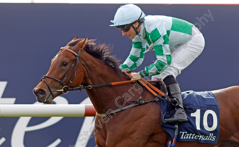 Woodhay-Wonder-0001 
 WOODHAY WONDER (P J McDonald) wins The £150,000 Tattersalls October Auction Stakes
Newmarket 7 Oct 2023 - Pic Steven Cargill / Racingfotos.com