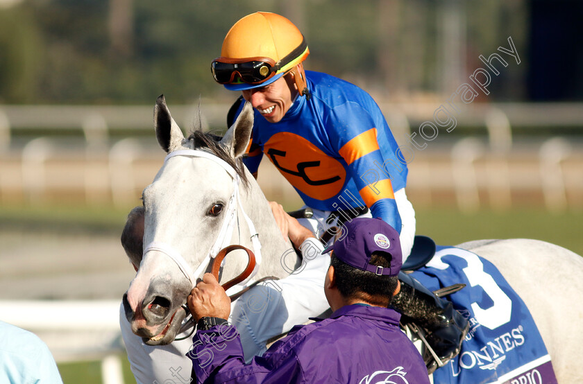 White-Abarrio-0011 
 WHITE ABARRIO (Irad Ortiz) winner of The Breeders' Cup Classic
Santa Anita 4 Nov 2023 - pic Steven Cargill / Racingfotos.com