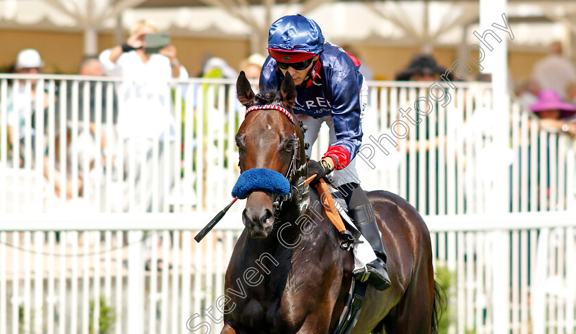 Penalty-0008 
 PENALTY (Thore Hammer-Hansen) winner of The 91. Brunner-Oettingen Rennen
Baden Baden 1 Sep 2024 - Pic Steven Cargill / Racingfotos.com