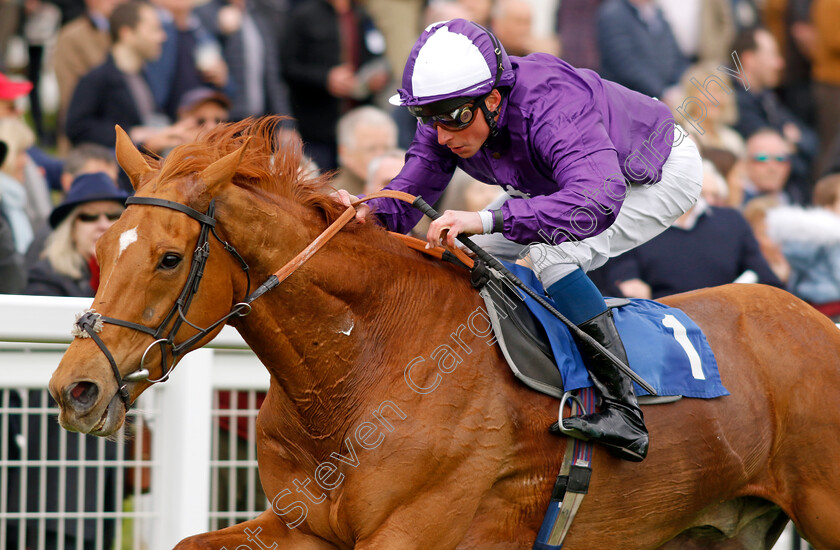 Sir-Rumi-0001 
 SIR RUMI (William Buick) wins The Betfred Nifty Fifty Great Metropolitan Handicap
Epsom 25 Apr 2023 - Pic Steven Cargill / Racingfotos.com