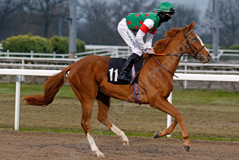 Little-Sunflower-0001 
 LITTLE SUNFLOWER (Darragh Keenan)
Chelmsford 27 Nov 2021 - Pic Steven Cargill / Racingfotos.com