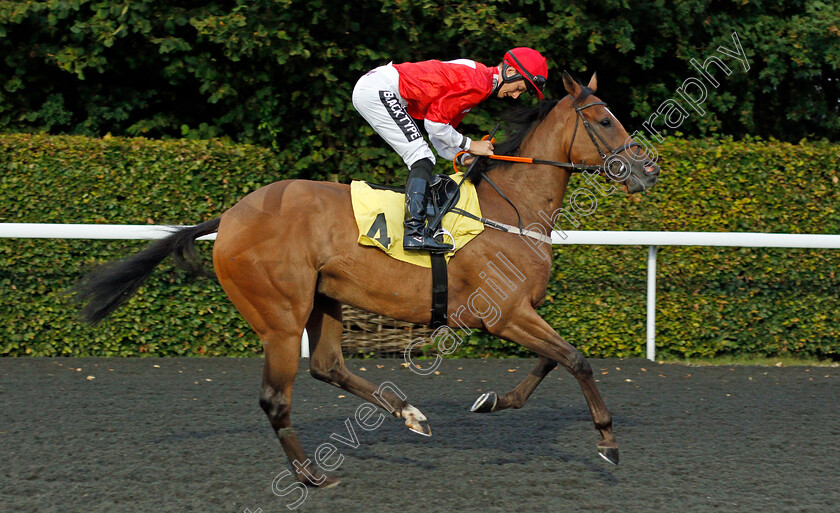 Crimewave-0001 
 CRIMEWAVE (Harry Bentley)
Kempton 3 Sep 2019 - Pic Steven Cargill / Racingfotos.com