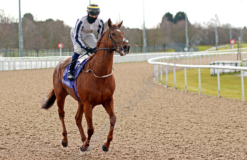 Ostilio-0001 
 OSTILIO (Kevin Stott)
Wolverhampton 13 Mar 2021 - Pic Steven Cargill / Racingfotos.com