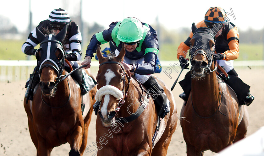 Lion-Hearted-0003 
 LION HEARTED (Mark Crehan) wins The Bet totetrifecta At totesport.com Handicap
Chelmsford 11 Apr 2019 - Pic Steven Cargill / Racingfotos.com