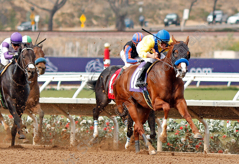 Dabster-0001 
 DABSTER (Flavian Prat) wins Allowance at Del Mar, USA 3 Nov 2017 - Pic Steven Cargill / Racingfotos.com