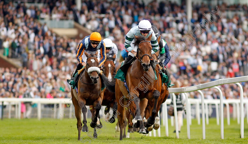 Quickthorn-0001 
 QUICKTHORN (Tom Marquand)
York 25 Aug 2023 - Pic Steven Cargill / Racingfotos.com