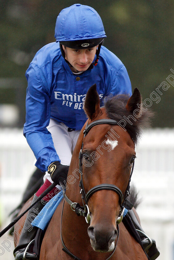 Encipher-0001 
 ENCIPHER (Oisin Murphy) winner of The Spinal Injuries Association EBF Novice Stakes
Newbury 19 Jul 2019 - Pic Steven Cargill / Racingfotos.com