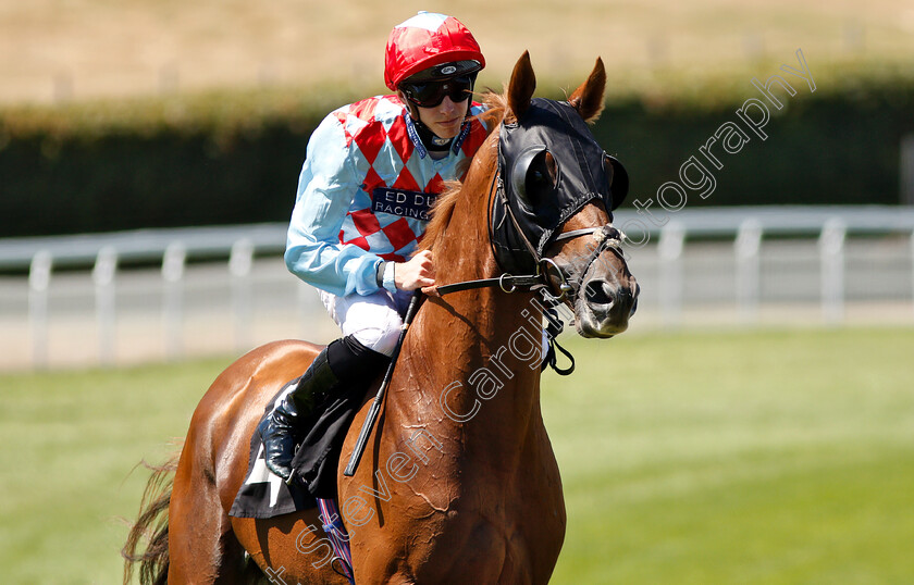 Red-Verdon-0001 
 RED VERDON (James Doyle)
Goodwood 3 Aug 2018 - Pic Steven Cargill / Racingfotos.com