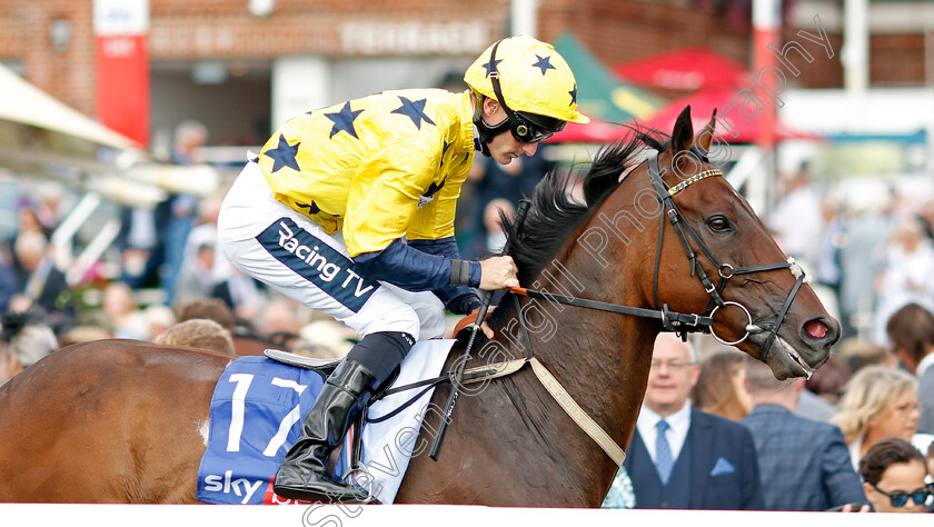 Euchen-Glen-0001 
 EUCHEN GLEN (Paul Mulrennan)
York 20 Aug 2022 - Pic Steven Cargill / Racingfotos.com