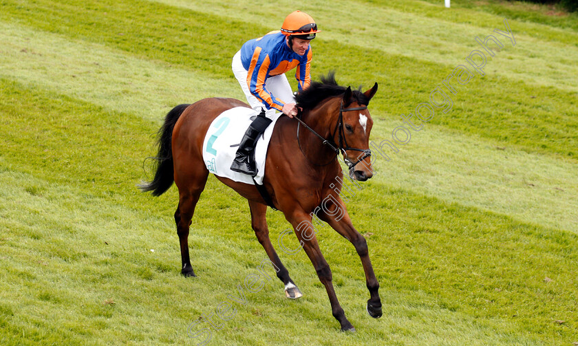 Dramatically-0001 
 DRAMATICALLY (Seamie Heffernan)
Chester 9 May 2018 - Pic Steven Cargill / Racingfotos.com