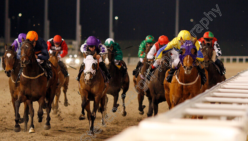 Dyagilev-0001 
 DYAGILEV (right, David Probert) wins The Book Tickets Online At chelmsfordcityracecourse.com Handicap
Chelmsford 13 Feb 2020 - Pic Steven Cargill / Racingfotos.com