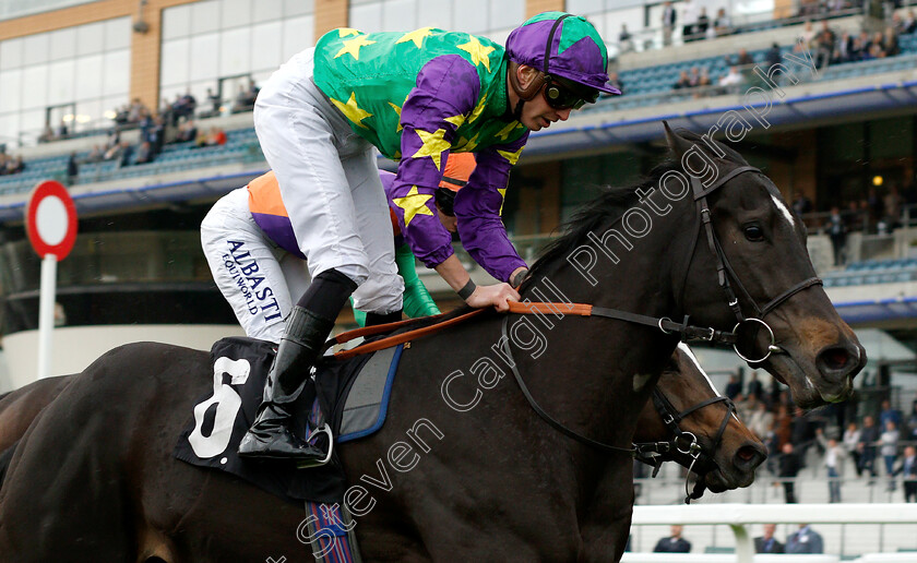 Burford-Brown-0004 
 BURFORD BROWN (James Doyle) wins The Ascot Supports Racing Charities Handicap
Ascot 1 May 2019 - Pic Steven Cargill / Racingfotos.com