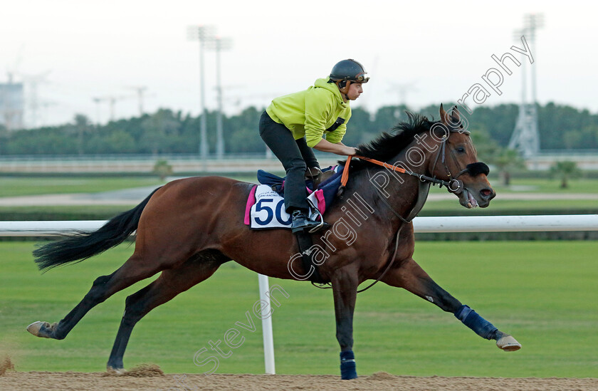 Russipant-Fal-0002 
 RUSSIPANT FAL training at the Dubai Racing Carnival 
Meydan 2 Jan 2025 - Pic Steven Cargill / Racingfotos.com