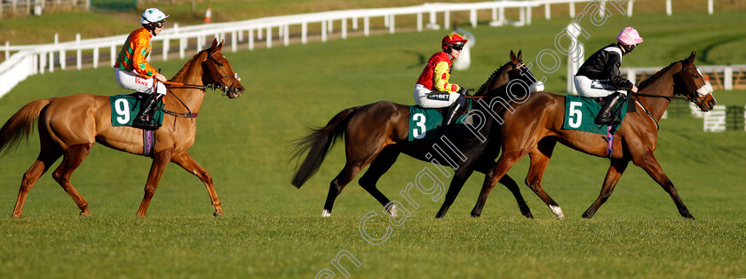 Transmission,-Destroytheevidence-and-Livin-On-Luco-0002 
 TRANSMISSION (right, James Bowen) with DESTROYTHEEVIDENCE (centre, Jonathan Burke) and LIVIN ON LUCO (left, Micheal Nolan)
Cheltenham 14 Dec 2024 - Pic Steven Cargill / Racingfotos.com