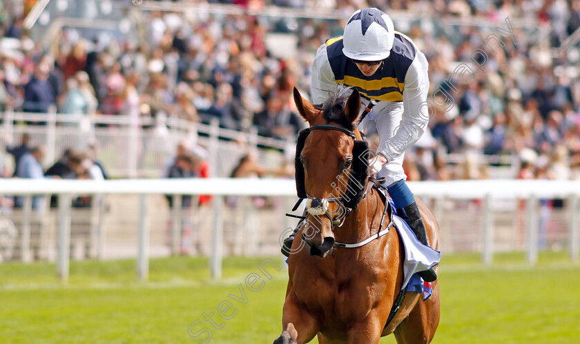 Mo-Ghille-Mar-0002 
 MO GHILLE MAR (Oisin Orr)
York 24 Aug 2024 - Pic Steven Cargill / Racingfotos.com