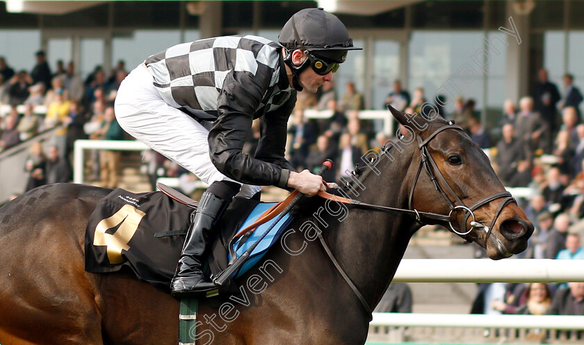 Lavender s-Blue-0007 
 LAVENDER'S BLUE (Robert Havlin) wins The bet365 EBF Fillies Maiden Stakes Div2
Newmarket 16 Apr 2019 - Pic Steven Cargill / Racingfotos.com