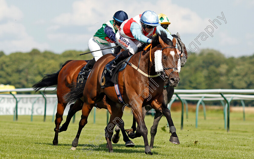 Secret-Potion-0004 
 SECRET POTION (Trevor Whelan) wins The Moorgate CPC Driver Training Handicap
Nottingham 10 Aug 2021 - Pic Steven Cargill / Racingfotos.com