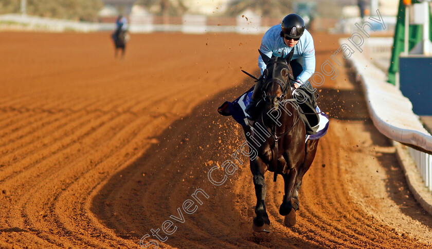 La-La-Christine-0001 
 LA LA CHRISTINE training for The 1351 Turf Sprint
King Abdulaziz Racecourse, Saudi Arabia 21 Feb 2024 - Pic Steven Cargill / Racingfotos.com