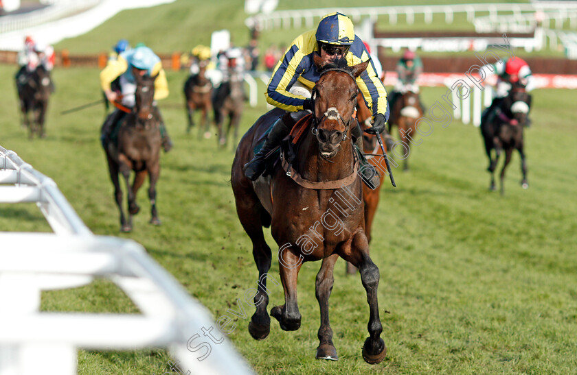 Melrose-Boy-0003 
 MELROSE BOY (Kieron Edgar) wins The Velcourt Conditional Jockeys Handicap Hurdle Cheltenham 19 Nov 2017 - Pic Steven Cargill /Racingfotos.com