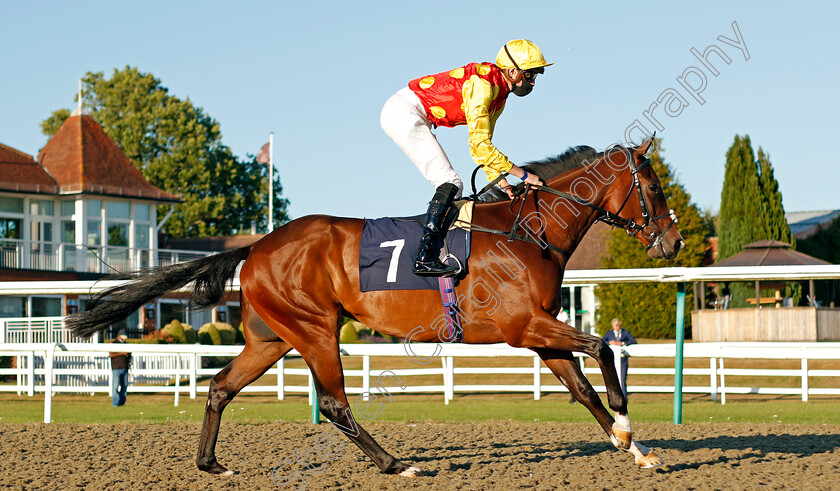 Systemic-0001 
 SYSTEMIC (James Doyle)
Lingfield 4 Aug 2020 - Pic Steven Cargill / Racingfotos.com