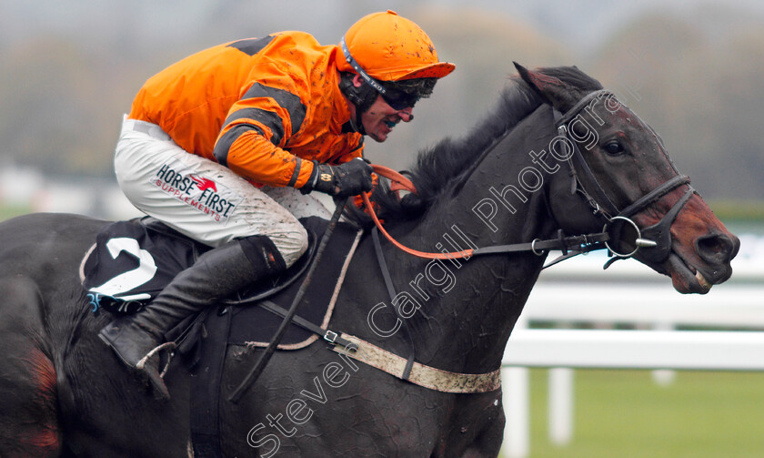 West-Approach-0010 
 WEST APPROACH (Robbie Power) wins The BetVictor Smartcards Handicap Chase
Cheltenham 16 Nov 2019 - Pic Steven Cargill / Racingfotos.com