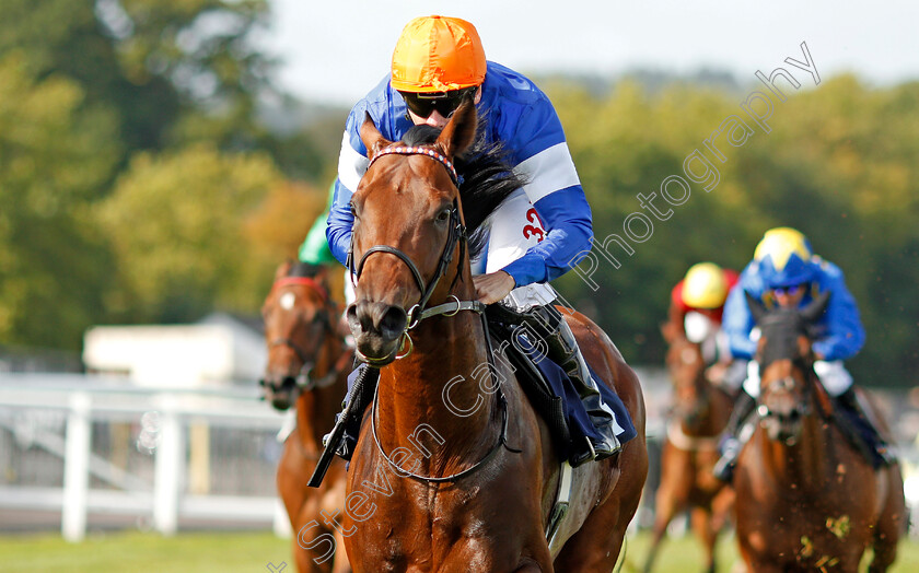 Rigoletto-0007 
 RIGOLETTO (Jamie Spencer) wins The Reecer Poertable Buildings Handicap Chepstow 6 Sep 2017 - Pic Steven Cargill / Racingfotos.com