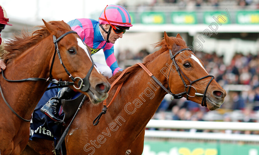 Examiner-0006 
 EXAMINER (right, Fran Berry) beats RED TEA (left) in The Plusvital Energene-Q10 Handicap Newmarket 17 Apr 2018 - Pic Steven Cargill / Racingfotos.com