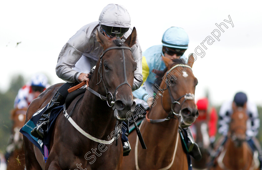 Commanding-Officer-0007 
 COMMANDING OFFICER (Daniel Tudhope) wins The British Stallion Studs EBF Convivial Maiden Stakes
York 24 Aug 2018 - Pic Steven Cargill / Racingfotos.com