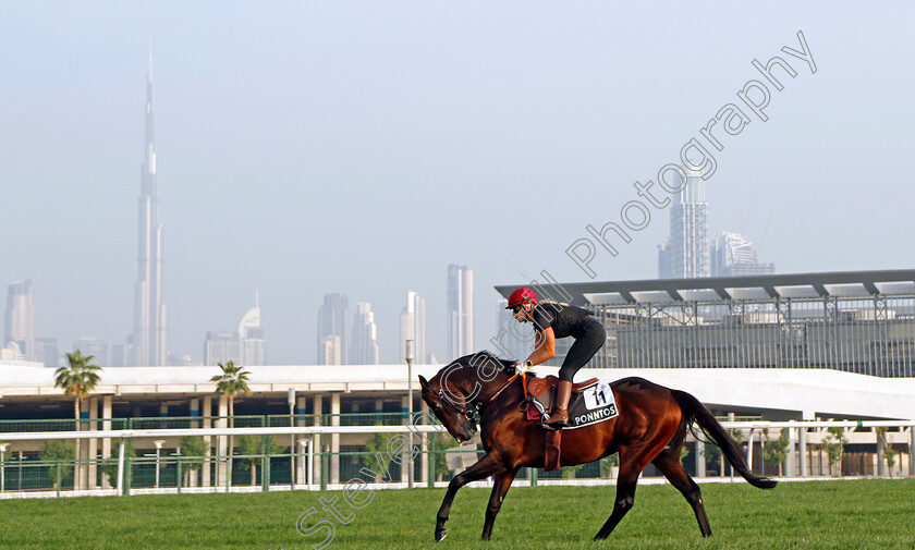 Ponntos-0001 
 PONNTOS training for The Al Quoz Sprint
Meydan Dubai 28 Mar 2024 - Pic Steven Cargill / Racingfotos.com