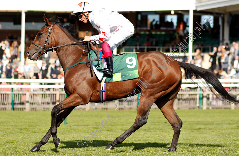 Signora-Cabello-0001 
 SIGNORA CABELLO (Frankie Dettori)
Newmarket 29 Sep 2018 - Pic Steven Cargill / Racingfotos.com