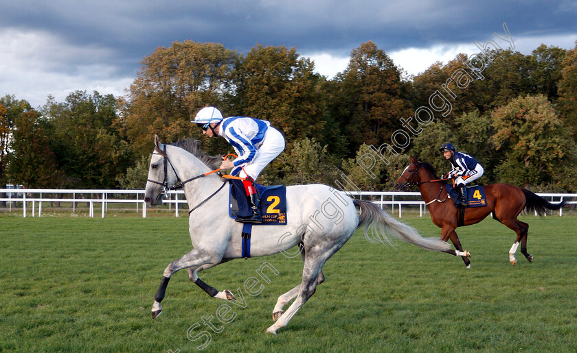 Thundering-Blue-0002 
 THUNDERING BLUE (Fran Berry) before winning The Stockholm Cup International
Bro Park, Sweden 23 Sep 2018 - Pic Steven Cargill / Racingfotos.com