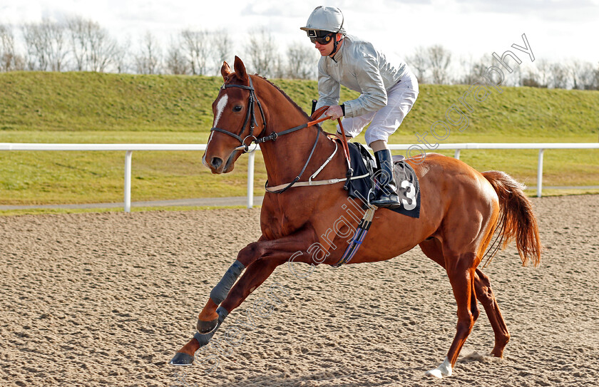 Old-Harbour-0001 
 OLD HARBOUR (Joe Fanning)
Chelmsford 11 Feb 2020 - Pic Steven Cargill / Racingfotos.com