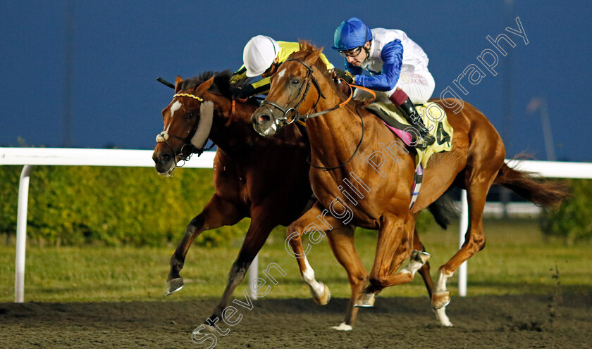 Magico-0002 
 MAGICO (Oisin Murphy) wins The Unibet Handicap
Kempton 28 Aug 2024 - Pic Steven Cargill / Racingfotos.com