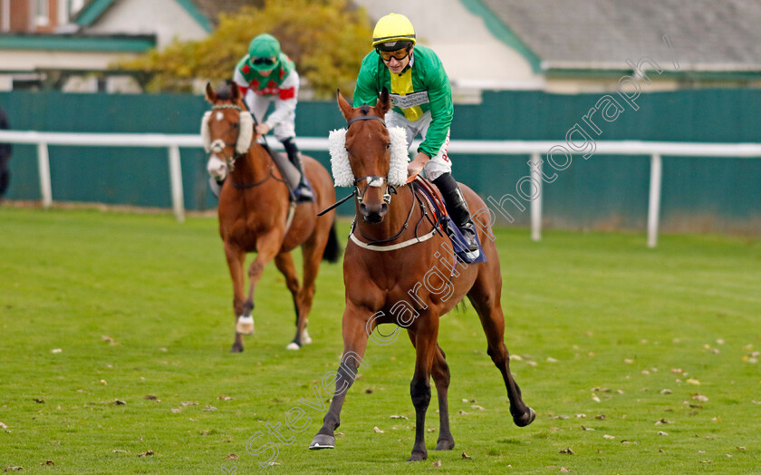 Dapper-Valley-0008 
 DAPPER VALLEY (Tom Marquand) winner of The Join Moulton Racing Syndicate Handicap
Yarmouth 22 Oct 2024 - Pic Steven Cargill / Racingfotos.com