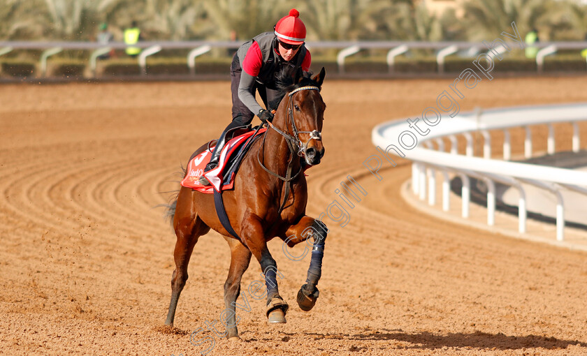 Enemy-0002 
 ENEMY training for The Red Sea Turf Handicap
King Abdulaziz Racecourse, Kingdom Of Saudi Arabia, 23 Feb 2023 - Pic Steven Cargill / Racingfotos.com